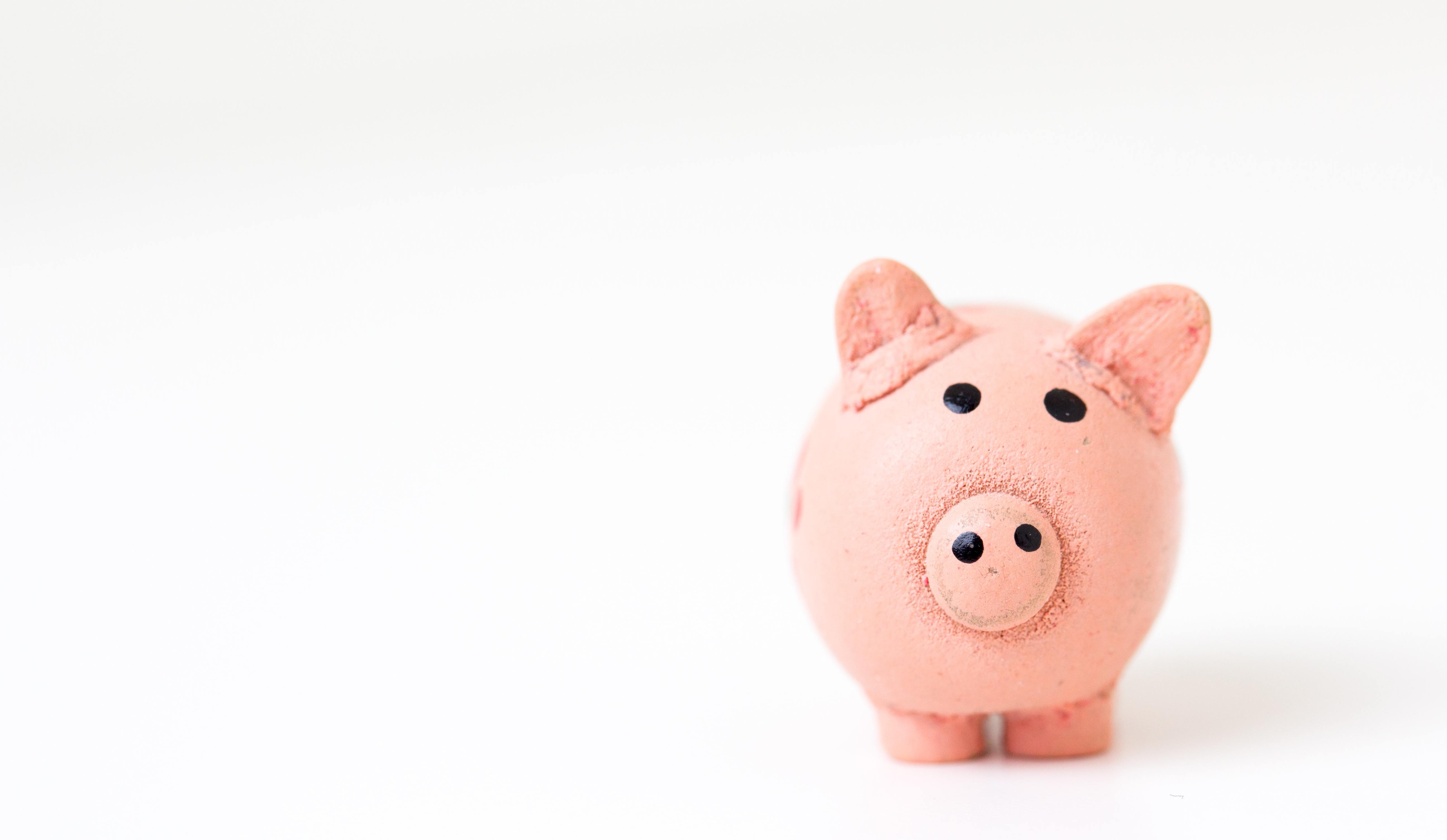 financial pig